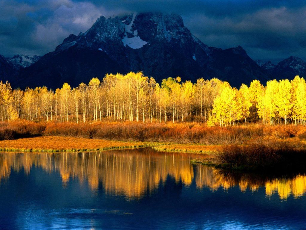 aspens 