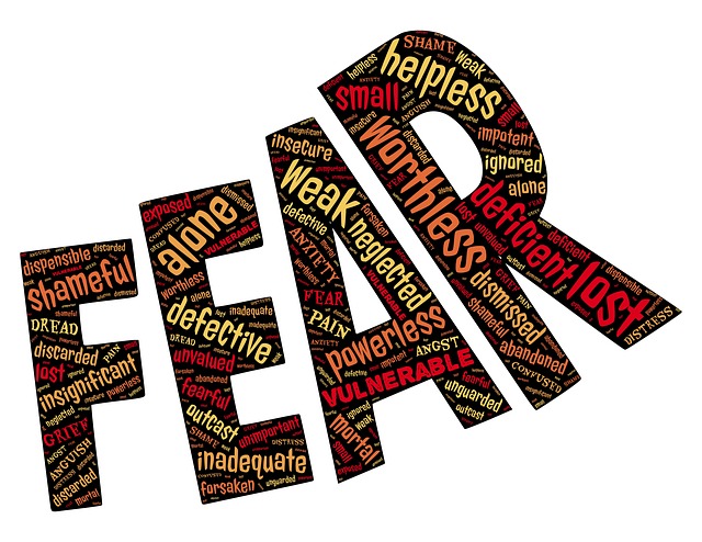 the word fear