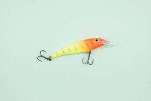 fishing hook